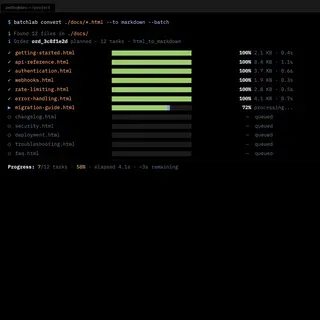 Terminal showing batch file conversion with per-file progress bars, completion percentages, and file sizes
