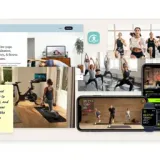 One Firelight, Wellness MVP — One Firelight — concept screens (02)