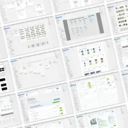 Naturgy / Natura — case study visual (01)