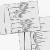 Cloud District, Multi-Client Portfolio, Senior UX Consulting — Naturgy / Natura — case study visual (02)