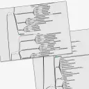 Naturgy / Natura — case study visual (02)